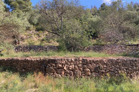 Landejendom i El Perello, Tarragona, El Perello - € 36.000 | Ref: Finca Montanas - foto 38